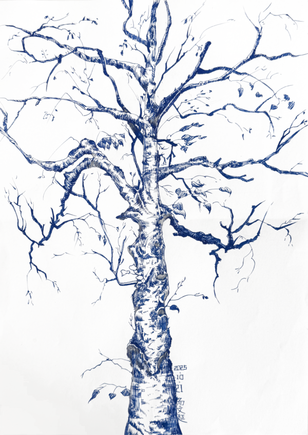 汤文延 钢笔速写.png