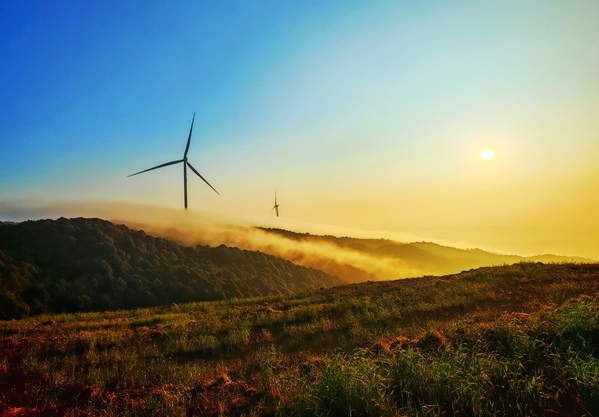 金风送晓 沈宗来摄.jpg